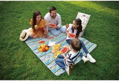 SCOUT Bluehemian Rhapsody 60x72 Water Resistant Outdoor Blanket