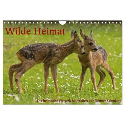 Wilde Heimat (Wandkalender 2027 DIN A4 quer), CALVENDO Monatskalender