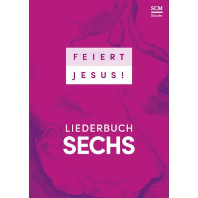 Feiert Jesus! 6 - Ringbuch -