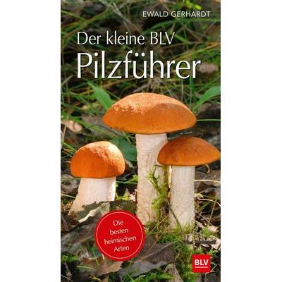 Der kleine BLV Pilzführer, Taschenbuch von Ewald Gerhardt, Blv, 978-3-8354-1844-8