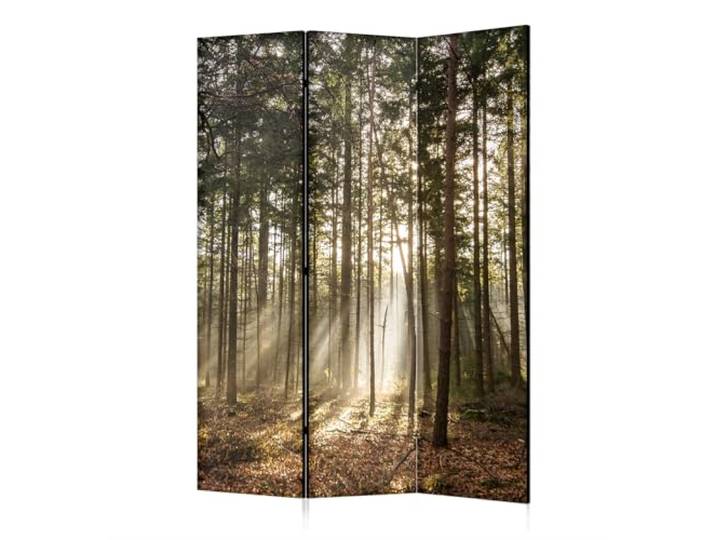 framed concept - Paravent Raumteiler Holz 135x172 cm, 3-teilig beidseitig, Sichtschutzwand