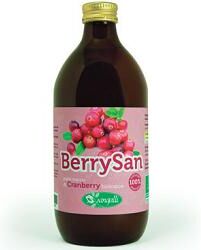 Berrysan Puro Succo Cranberry