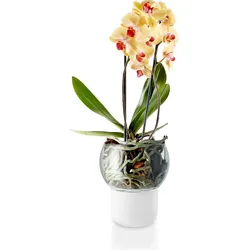 Eva Solo Selbstbewässernder Blumentopf 15 cm aus Glas