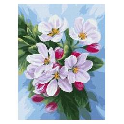 Ideyka Malen nach Zahlen - Apfelblüte (59728786)