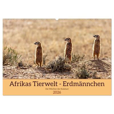 Afrikas Tierwelt - Erdmännchen (Wandkalender 2026 DIN A2 quer), CALVENDO Monatskalender