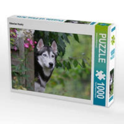 CALVENDO Puzzle Siberian Husky 1000 Teile Lege-Größe 64 x 48 cm Foto-Puzzle Bild von Barbara Mielewczyk