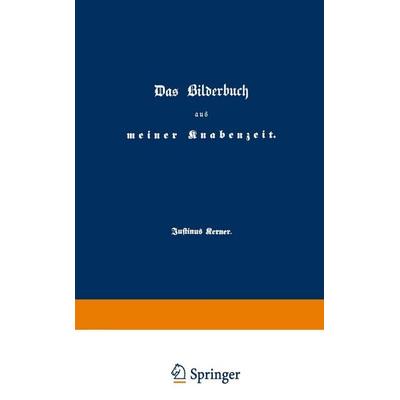 Das Bilderbuch aus meiner Knabenzeit, Taschenbuch von Justinus Kerner, Vieweg+Teubner, 978-3-628-41627-9