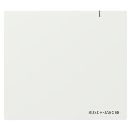 Busch-Jaeger Access Point (5000 Mbit/s) (2CKA006200A0868)