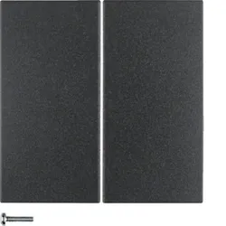 Berker KNX-Funk Taste 2fach 85146185