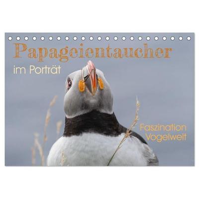 Papageientaucher im Porträt Faszination Vogelwelt (Tischkalender 2027 DIN A5 quer), CALVENDO Monatskalender