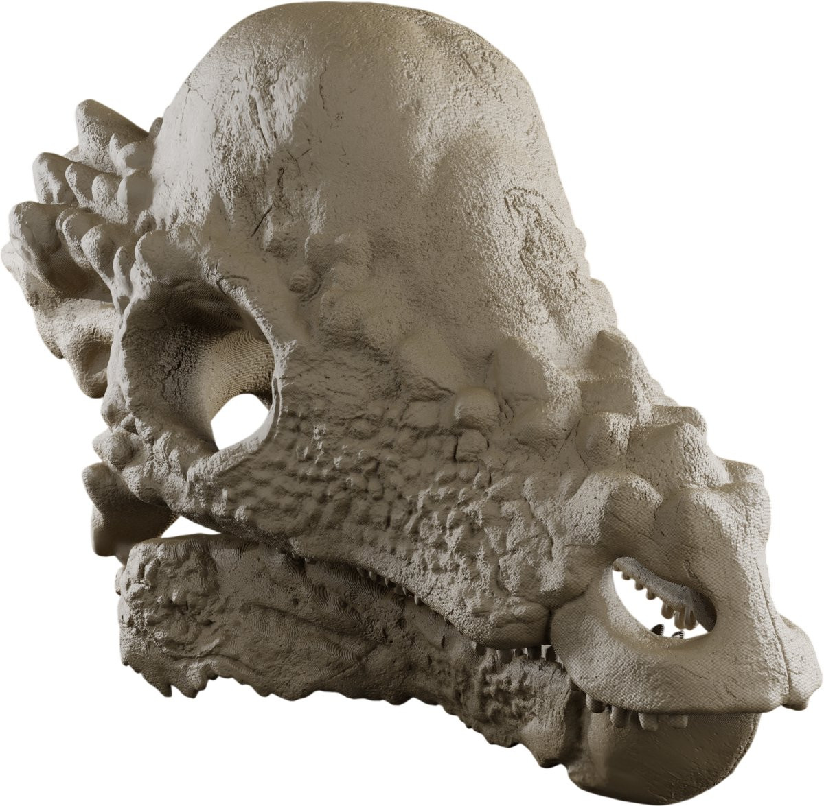 Pachycephalosaurus Schedel Decoratie Replica - Beige - Anatomisch Model Dinosaurus - Life Size 50cm