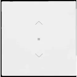 Busch-Jaeger Wippe 1-fach mit Symbol Jalousie 6232-10-44G