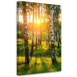 LEINWANDBILD Birken Bäume Sonnenuntergang 80x120cm