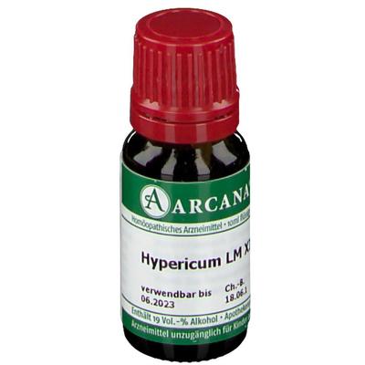 Hypericum LM 12 Dilution 10 ml