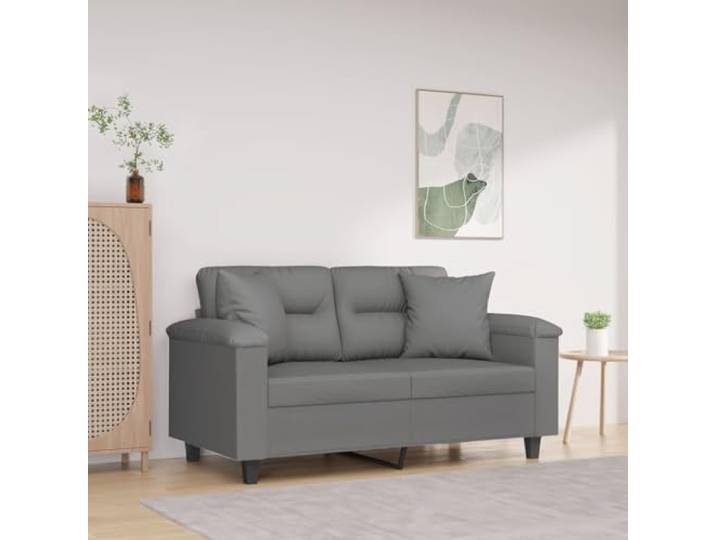 HEFZGDB Modernes 2-Sitzer-Sofa Dunkelgrau 120 cm mit Kissen aus strapazierfähigem Mikrofasergewebe, Metallgestell für Stabilität und PP-Baumwolle-Füllung für Komfort, geeignet