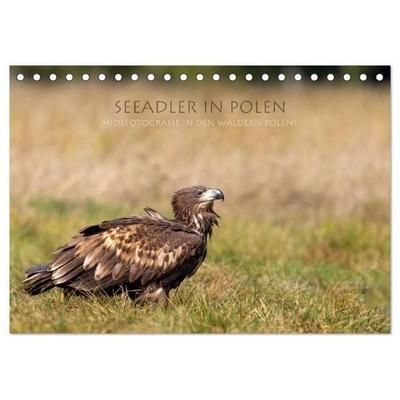 Seeadler in Polen (Tischkalender 2027 DIN A5 quer), CALVENDO Monatskalender