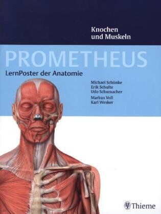 Michael Schünke - PROMETHEUS LernPoster der Anatomie, Knochen und Muskeln - Preis vom 14.10.2026 23:07:16 h