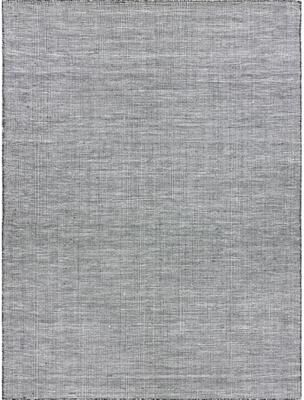 EXQUISITE RUGS Lenzi Indoor/Outdoor Flatweave PET yarn Black/Ivory Area Rug.