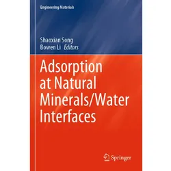 Adsorption at Natural Minerals/Water Interfaces, Fachbücher