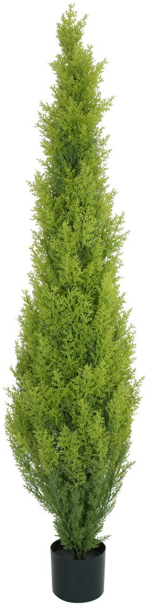 Europalms Zypresse, Leyland, 120cm