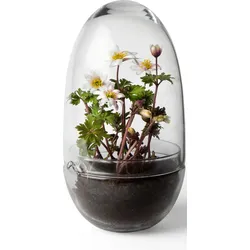 Grow M Gewächshaus