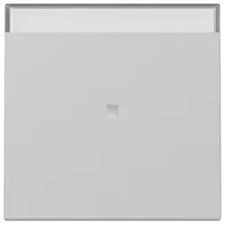 Gira Wippe Kontrollf. 3670015