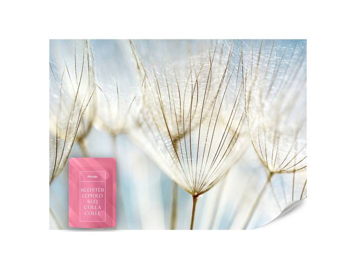 FOTOTAPETE für Wohnzimmer Löwenzahn Pflanzen Natur 200x140
