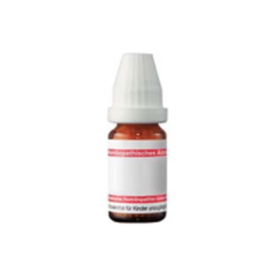 DHU-Arzneimittel GmbH & Co. KG SPONGIA Urtinktur D 1 20 ml 02124640