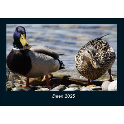 Enten 2025 Fotokalender DIN A4