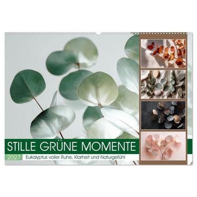 Stille Grüne Momente (Wandkalender 2027 DIN A2 quer), CALVENDO Monatskalender