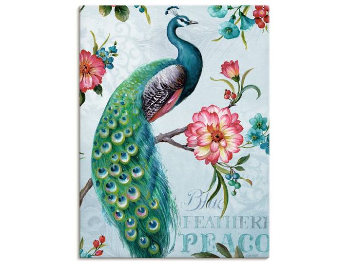 Leinwandbild ARTLAND Blau gepfederter Pfau , grün (farbe bild(er): grün), B:60cm H:80cm, Bilder, Leinwandbild, auf Holzrahmen gespannt