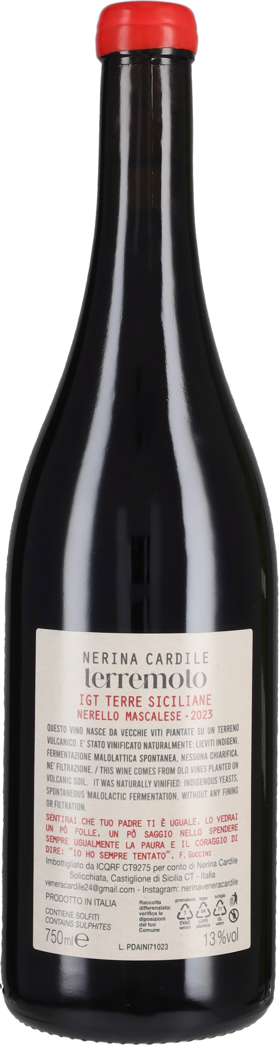 Nerina Cardile 'Terre Moto' 2023