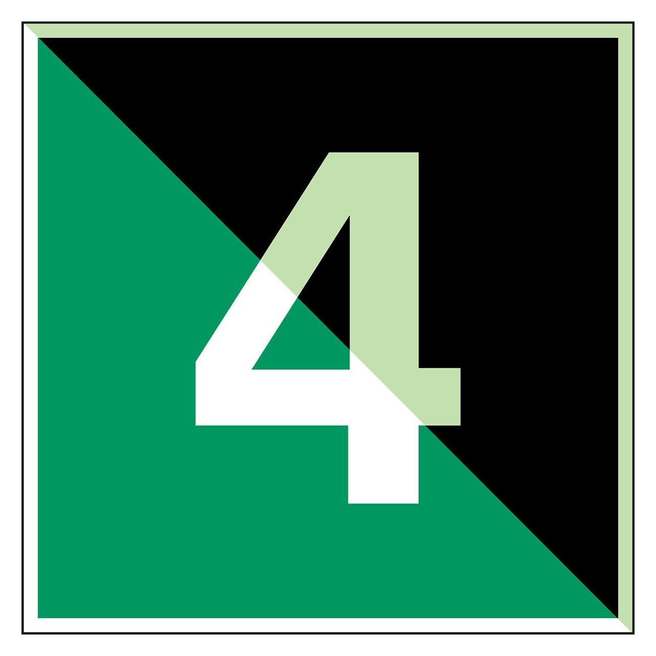 Brady Glow-in-the-dark safety sign (E/Y004-PP-PHOLUMB-100X300/1-B)