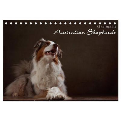 Charmante Australian Shepherds (Tischkalender 2026 DIN A5 quer), CALVENDO Monatskalender