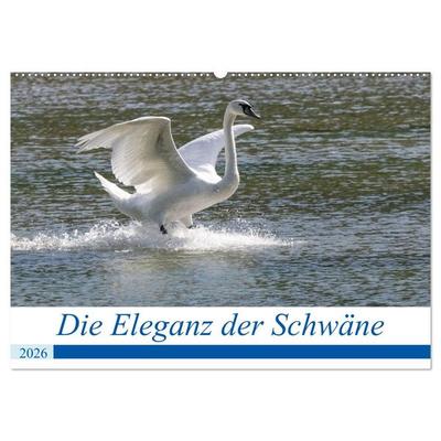 Die Eleganz der Schwäne (Wandkalender 2026 DIN A2 quer), CALVENDO Monatskalender