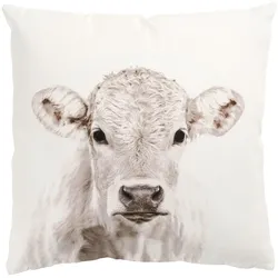 DEKOKISSEN Weißes Kalb 40/40 cm