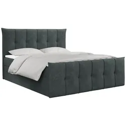 BOXBETT PREMIUM 11 120/200 Dunkelgrau Struktur - H4