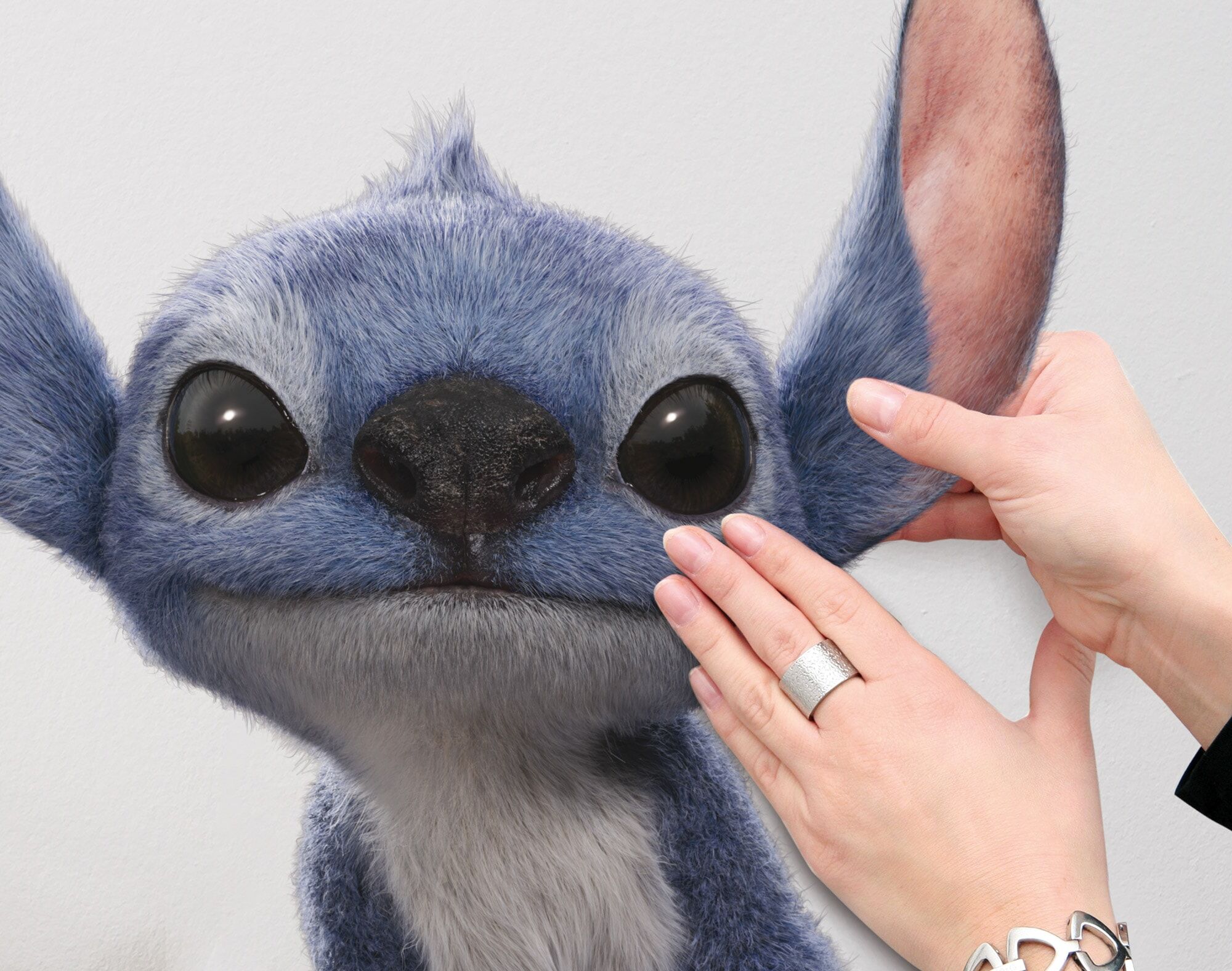 Wandtattoo KOMAR "Disney Lilo and Stitch Live Action Ohana", blau, B:50cm H:70cm, Wandtattoos, Wandtattoo, 50 x 70 cm (Breite x Höhe) blau B/H/T: 50cm x 70cm, Disney