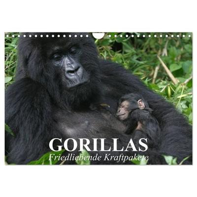 Gorillas. Friedliebende Kraftpakete (Wandkalender 2027 DIN A4 quer), CALVENDO Monatskalender