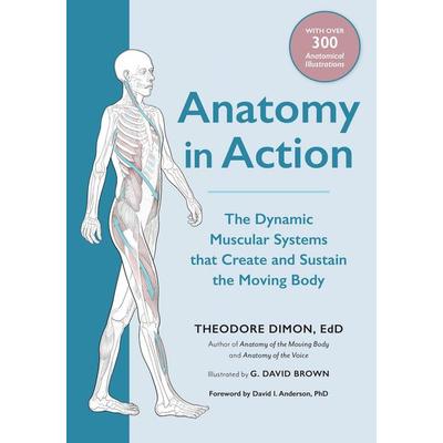 Anatomy in Action, Taschenbuch von Theodore Dimon, Random House N.Y., 978-1-62317-580-1