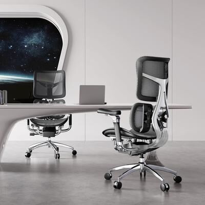SIHOO Doro S300 Ergonomic Office Chair - Dual-layer Dynamic Lumbar Support - 78.5*70*125