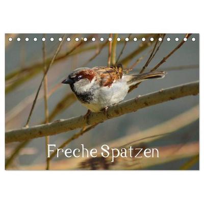 Freche Spatzen (Tischkalender 2026 DIN A5 quer), CALVENDO Monatskalender