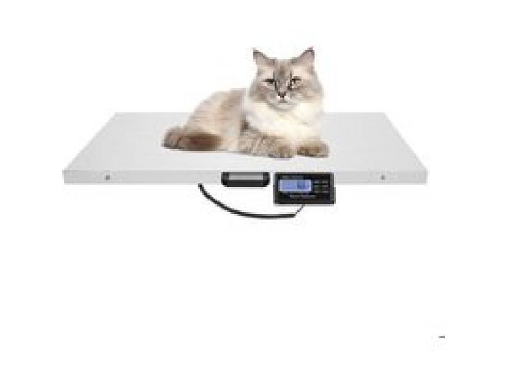 Postage Scale Digital Postal Scale Pèse-personne électronique vétérinaire en acier inoxydable 103 x 53 cm Charge max. 300 kg