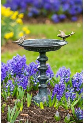Evergreen 19 in. Cast Iron Bird Bath on Pedestal