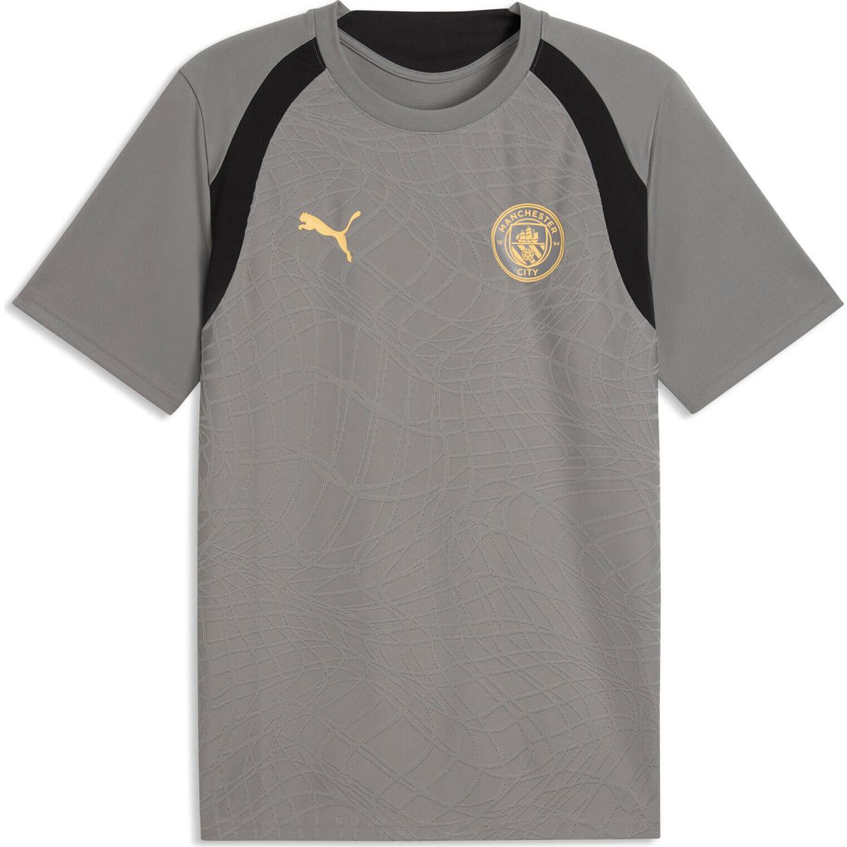 Puma Mcfc Training Jersey cast iron-flaxen (22) XL 786214-22-XL