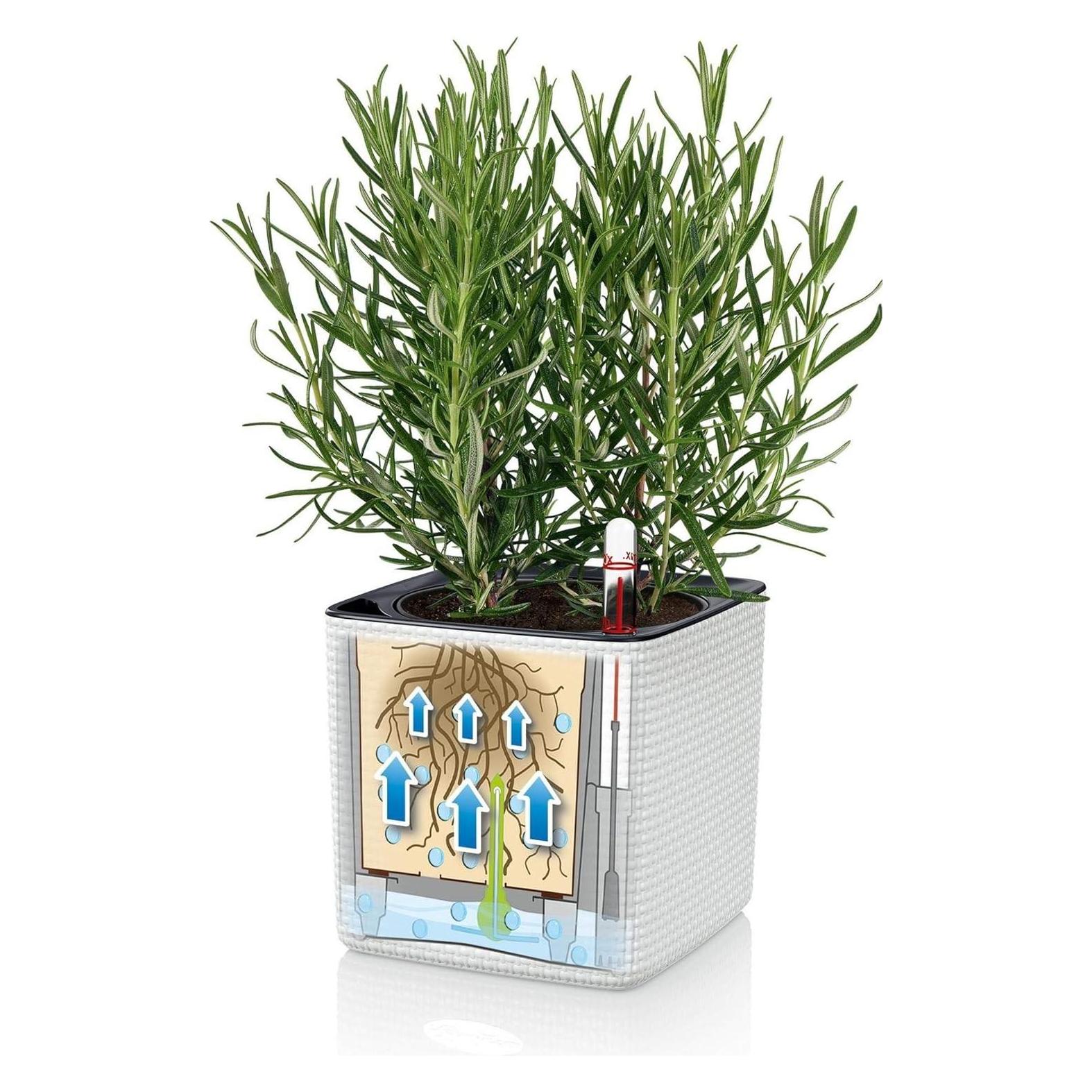 Lechuza Green Wall Home Kit (48 x 15 x 14 cm) (13398)