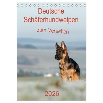 Deutsche Schäferhundwelpen zum Verlieben (Tischkalender 2026 DIN A5 hoch), CALVENDO Monatskalender