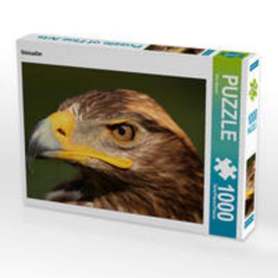 CALVENDO Puzzle Steinadler 1000 Teile Lege-Größe 64 x 48 cm Foto-Puzzle Bild von Dirk Stamm