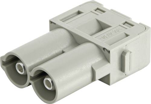 HARTING Stiftmodul 09140022646 Inhalt: 1 St. Stiftmodul