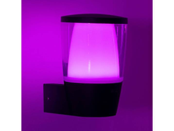 WiZ LED-Außenwandleuchte Elpas RGBW, schwarz Elpas, dimmbar, schwarz, Kunststoff, Modern